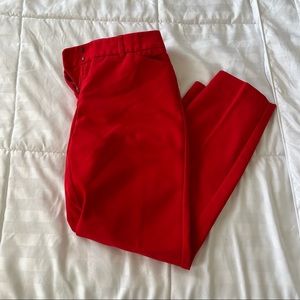 Express Dress Pant